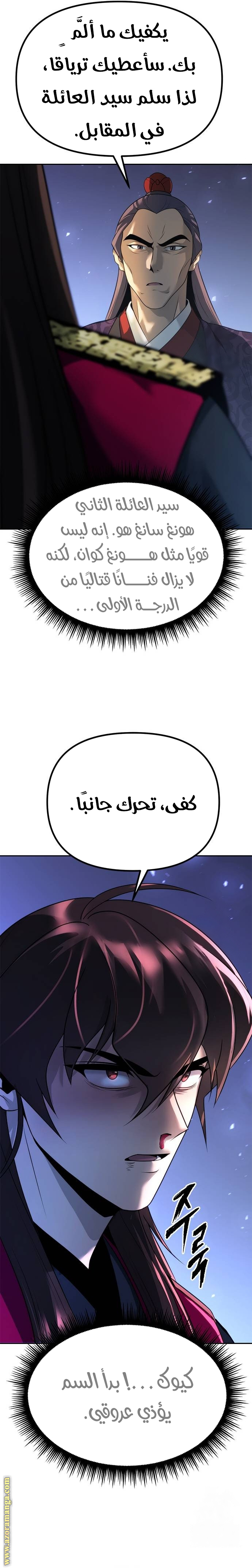 الصفحة 17