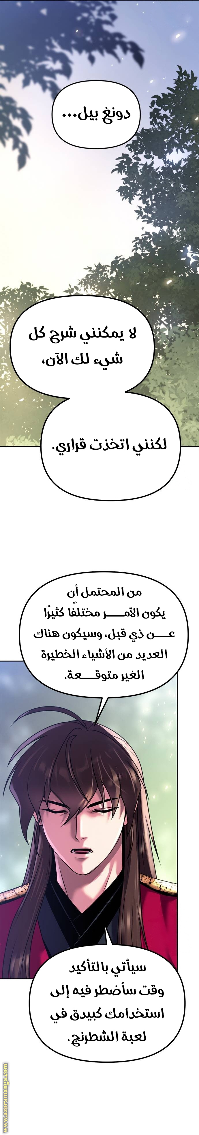 الصفحة 17