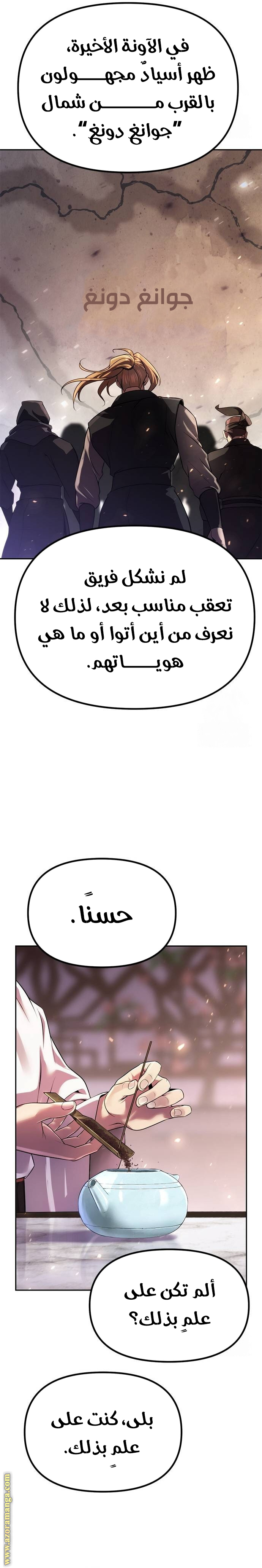 الصفحة 17