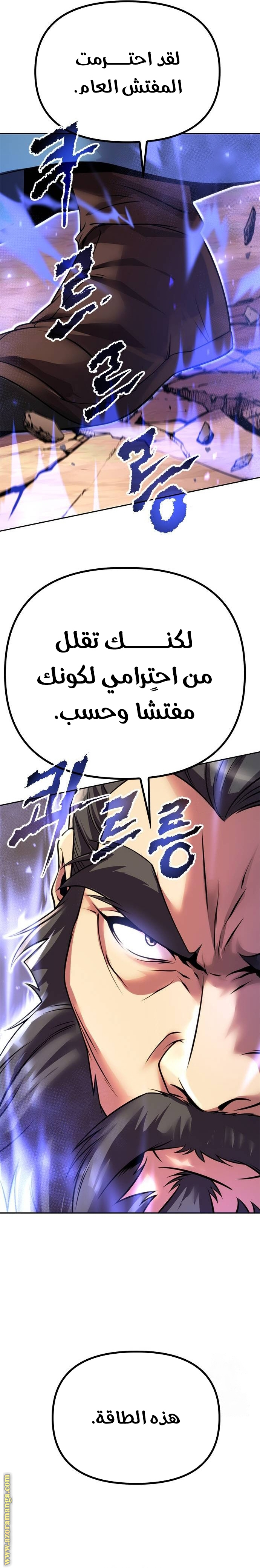 الصفحة 31