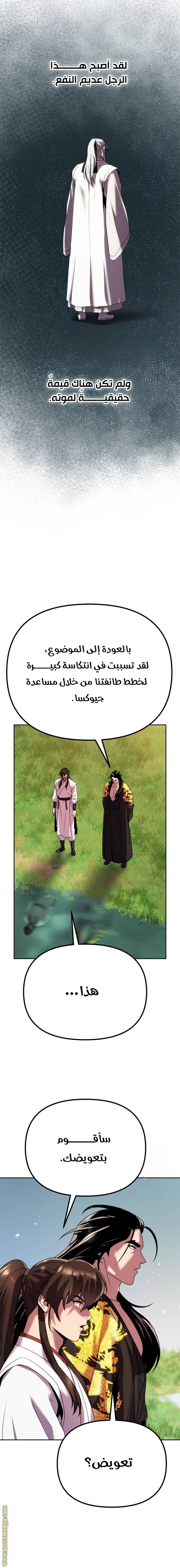 الصفحة 17