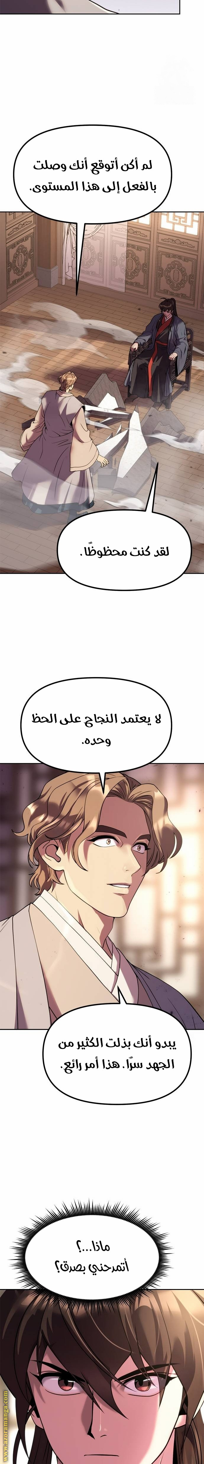الصفحة 17