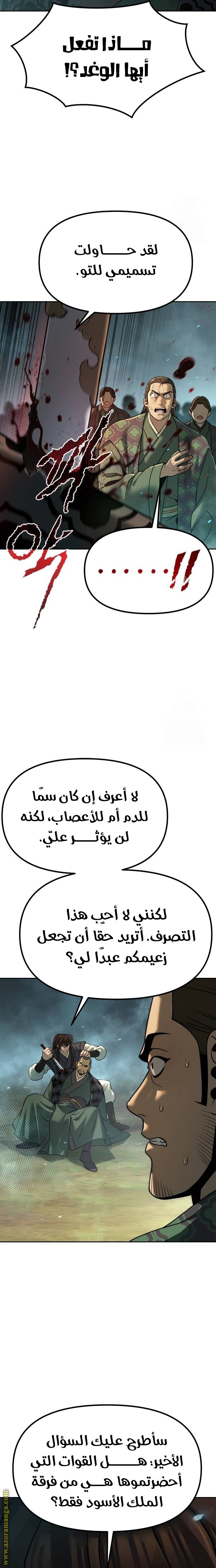 الصفحة 13