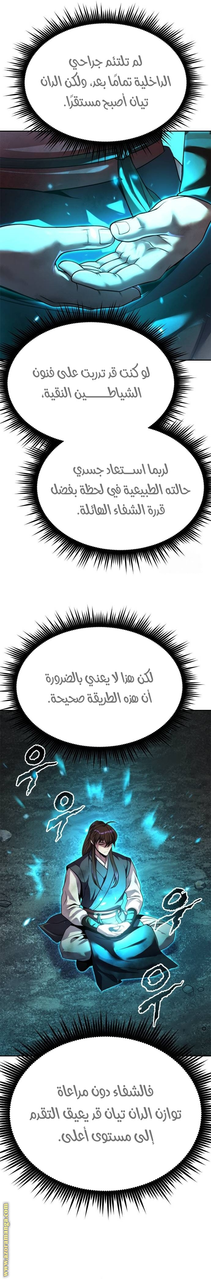 الصفحة 13