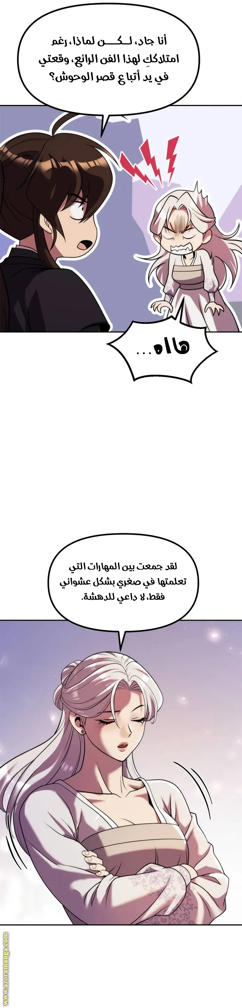 الصفحة 17