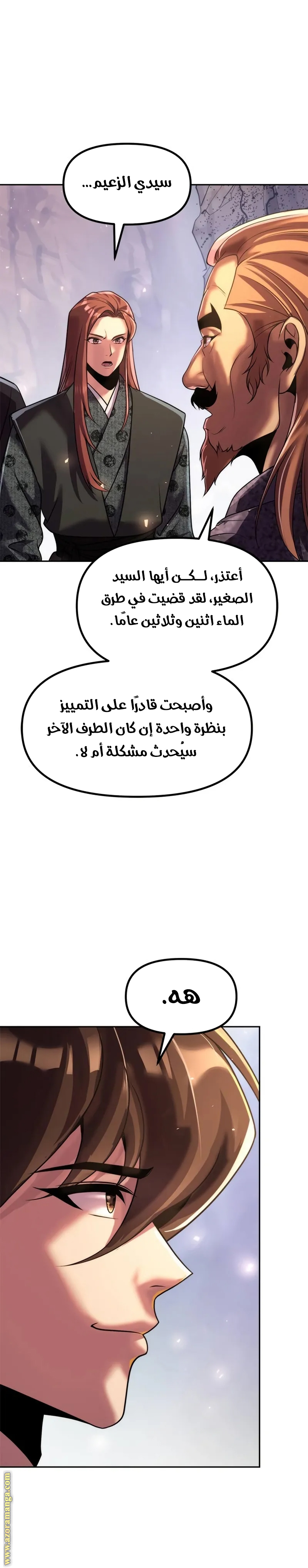 الصفحة 29