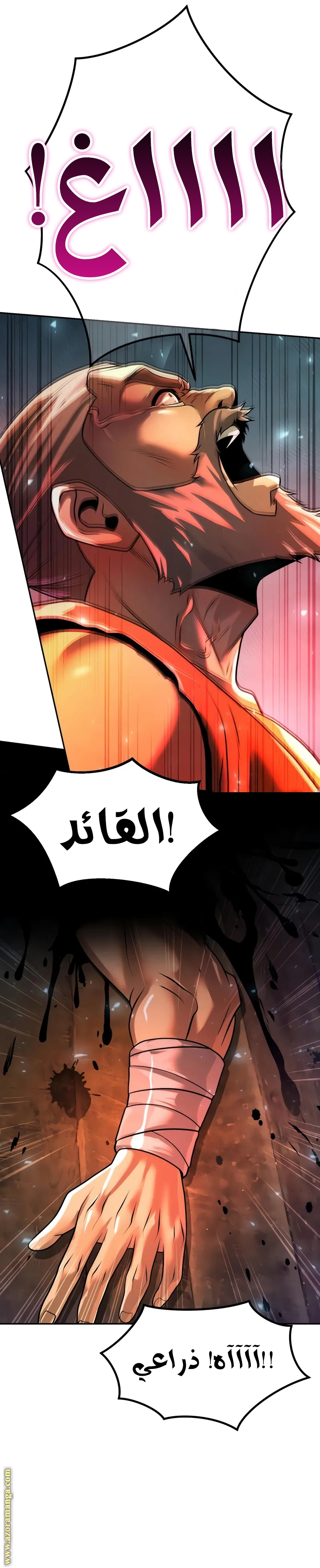 الصفحة 12