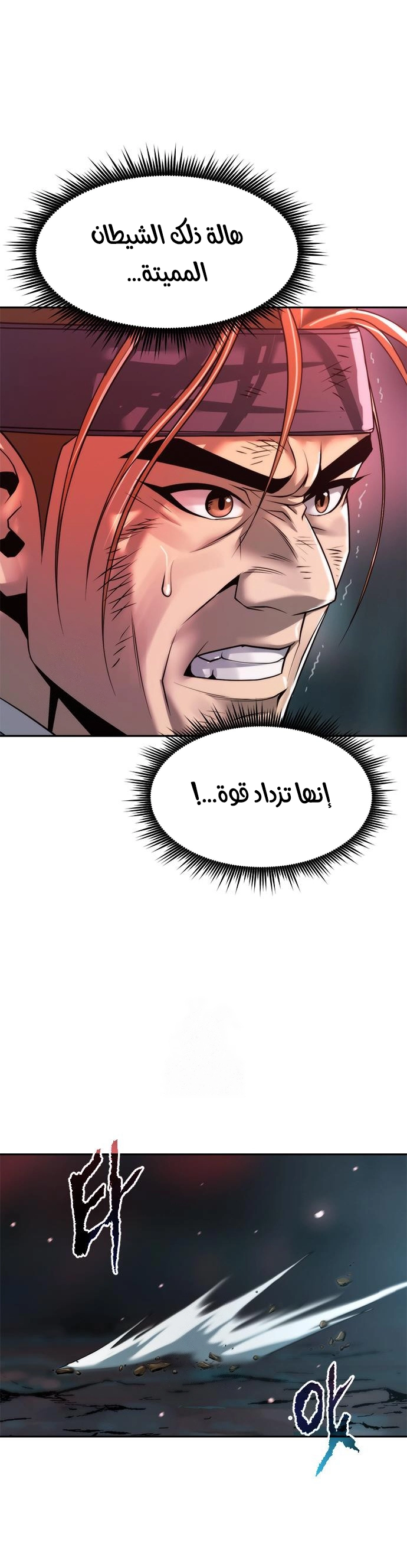 الصفحة 14