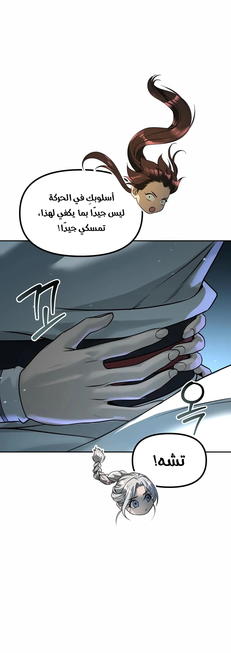 الصفحة 17