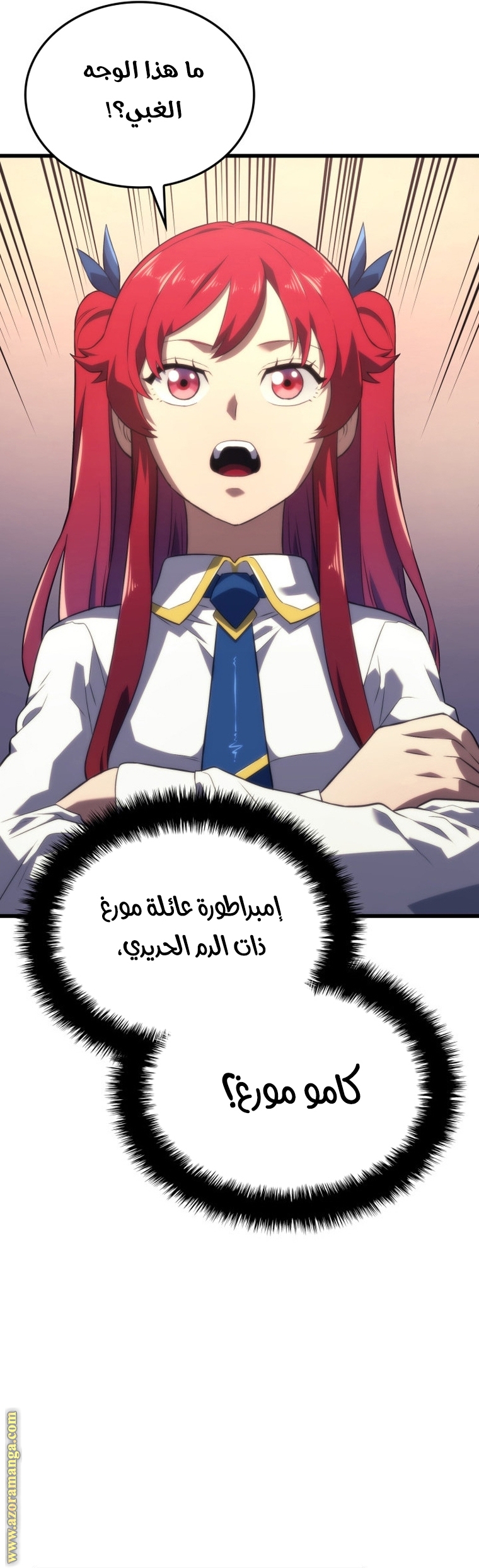 الصفحة 29