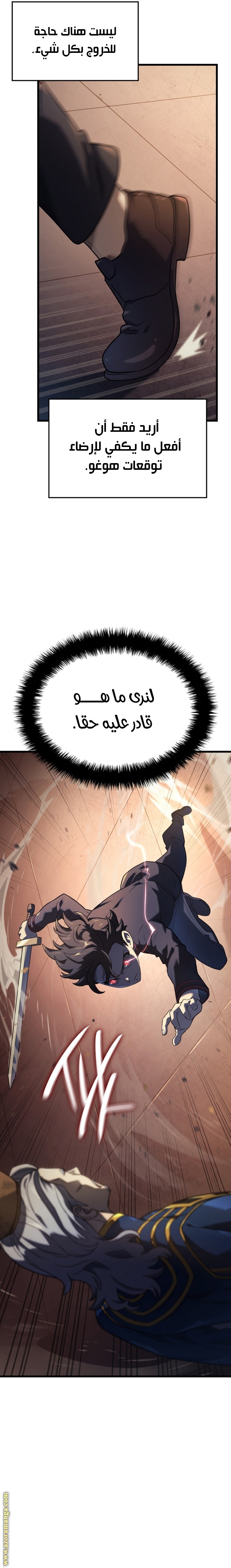 الصفحة 17