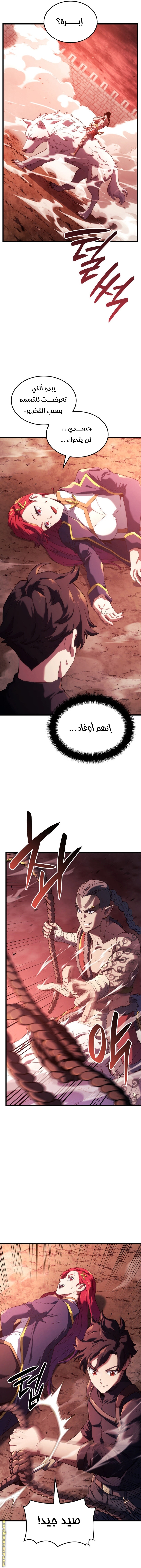 الصفحة 17