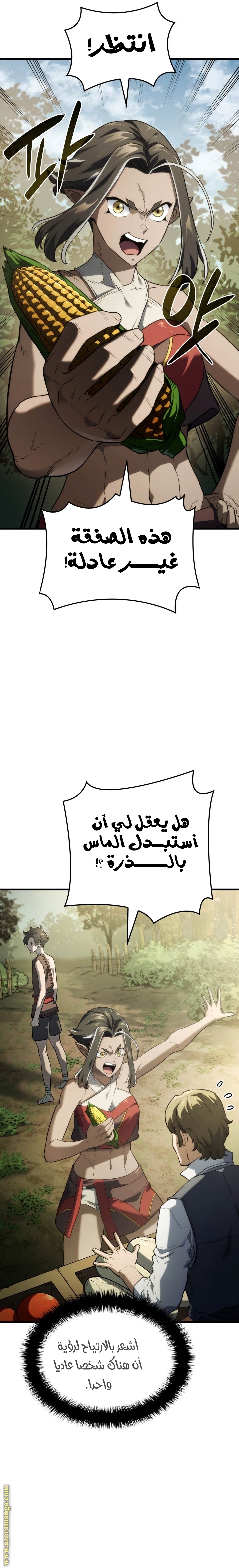 الصفحة 17