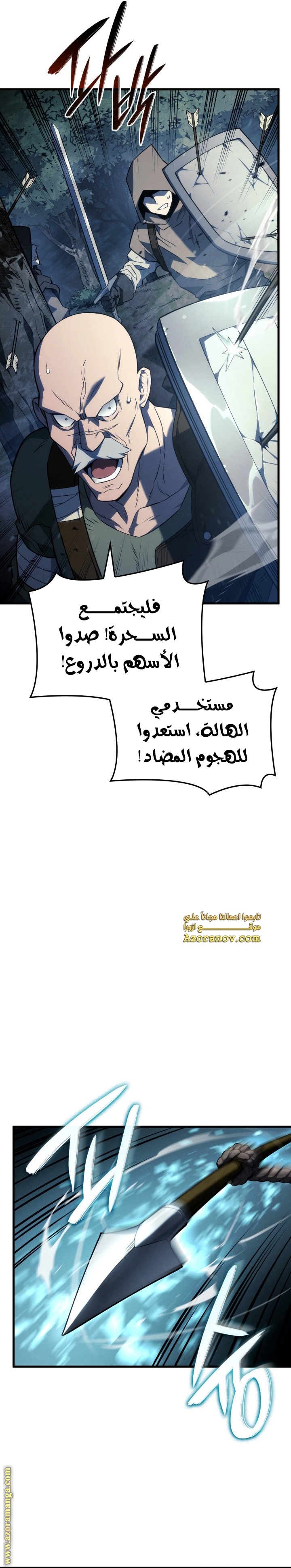 الصفحة 13