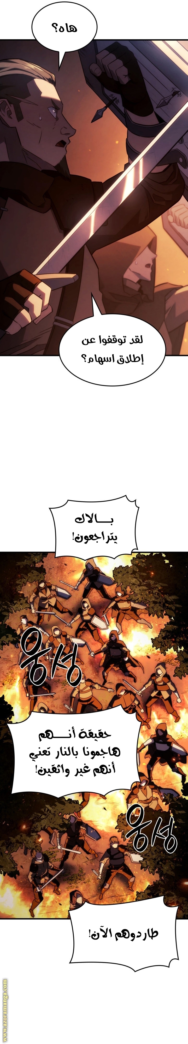 الصفحة 29