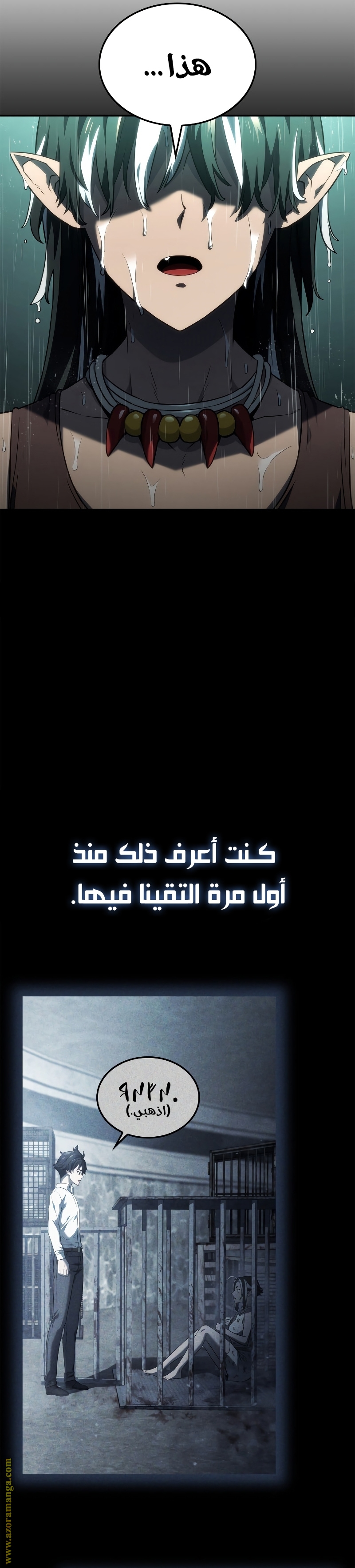 الصفحة 31