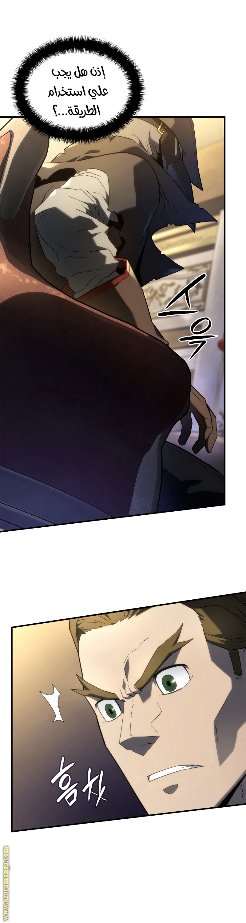 الصفحة 17