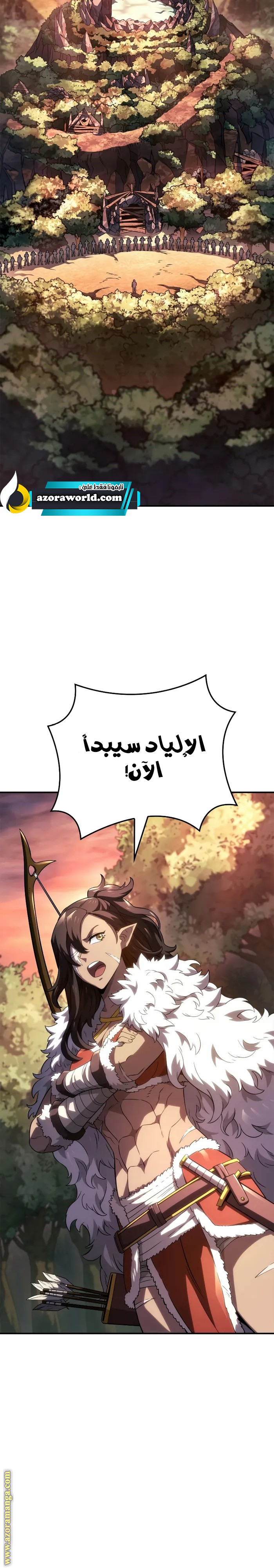الصفحة 17