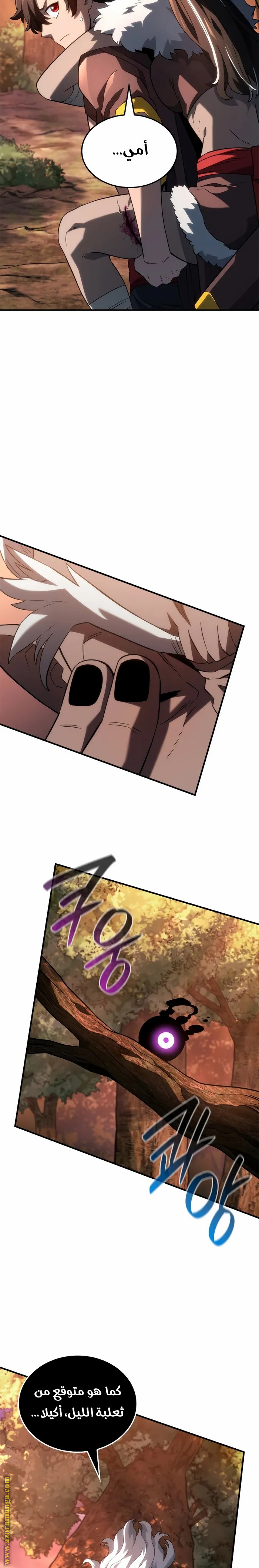 الصفحة 17