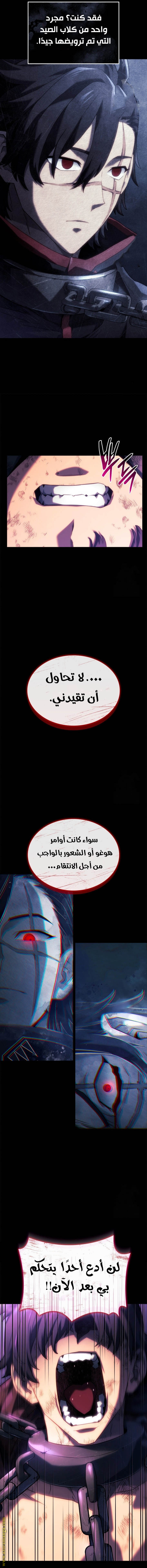 الصفحة 14