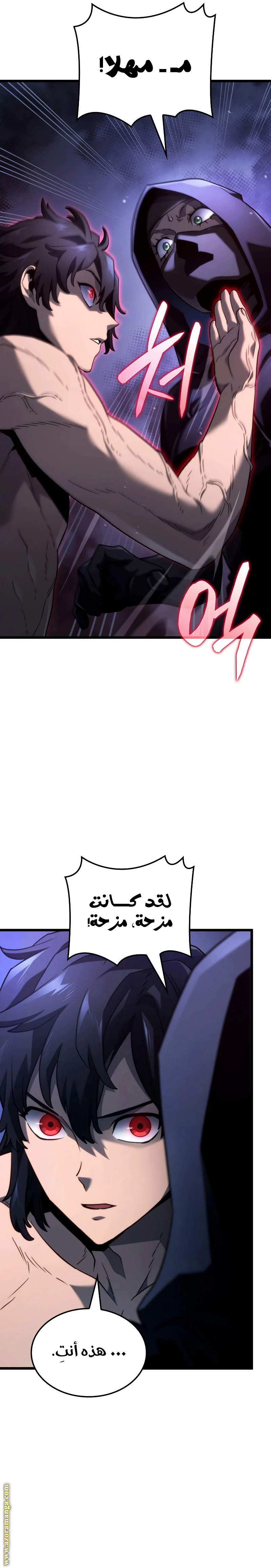 الصفحة 17