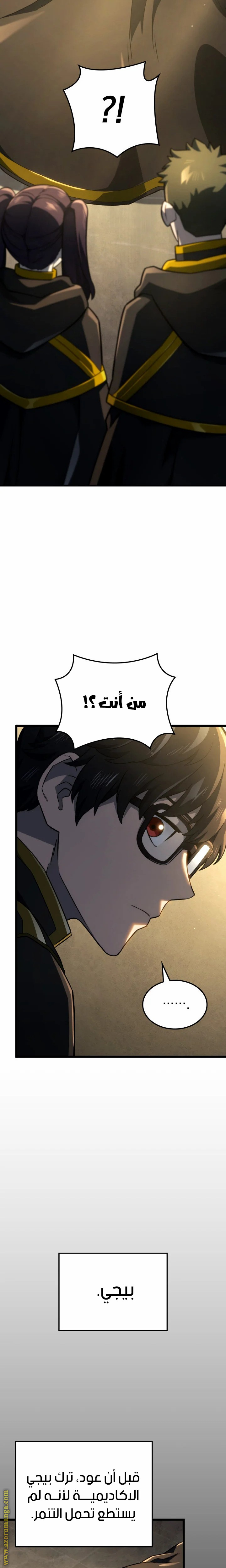 الصفحة 17