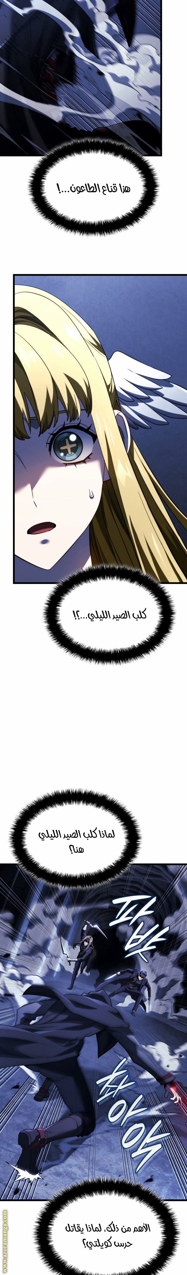 الصفحة 13