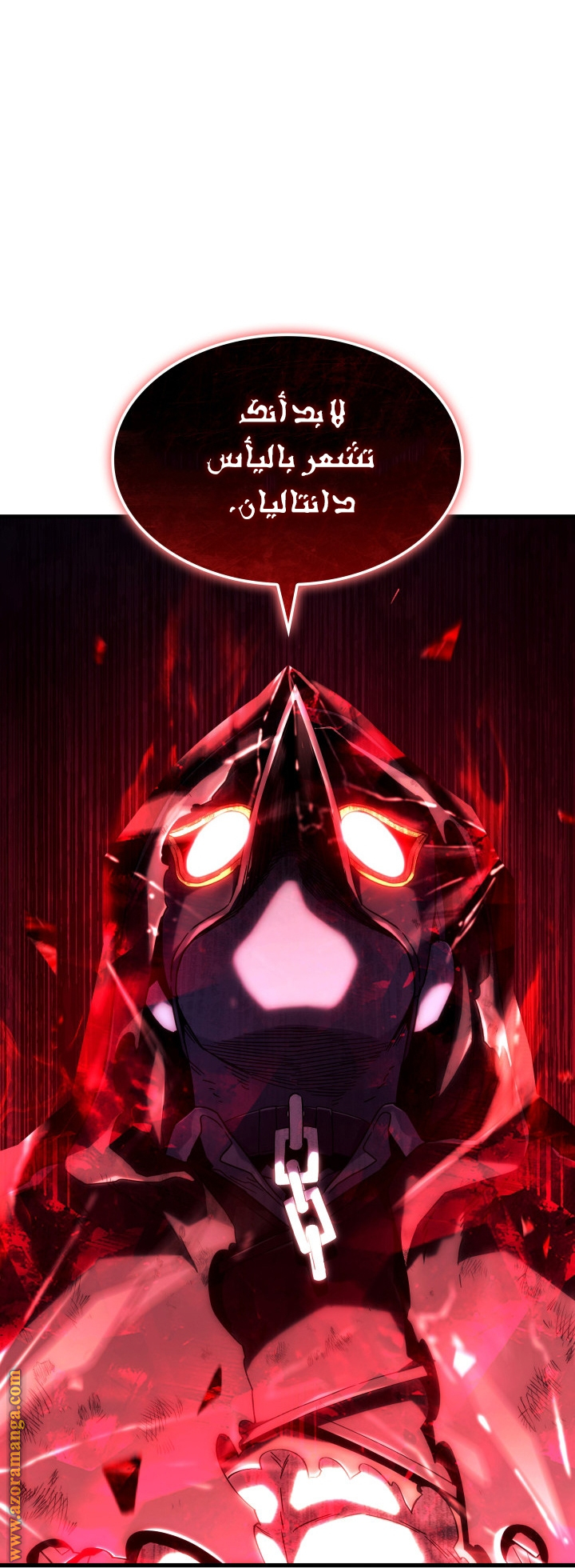 الصفحة 17