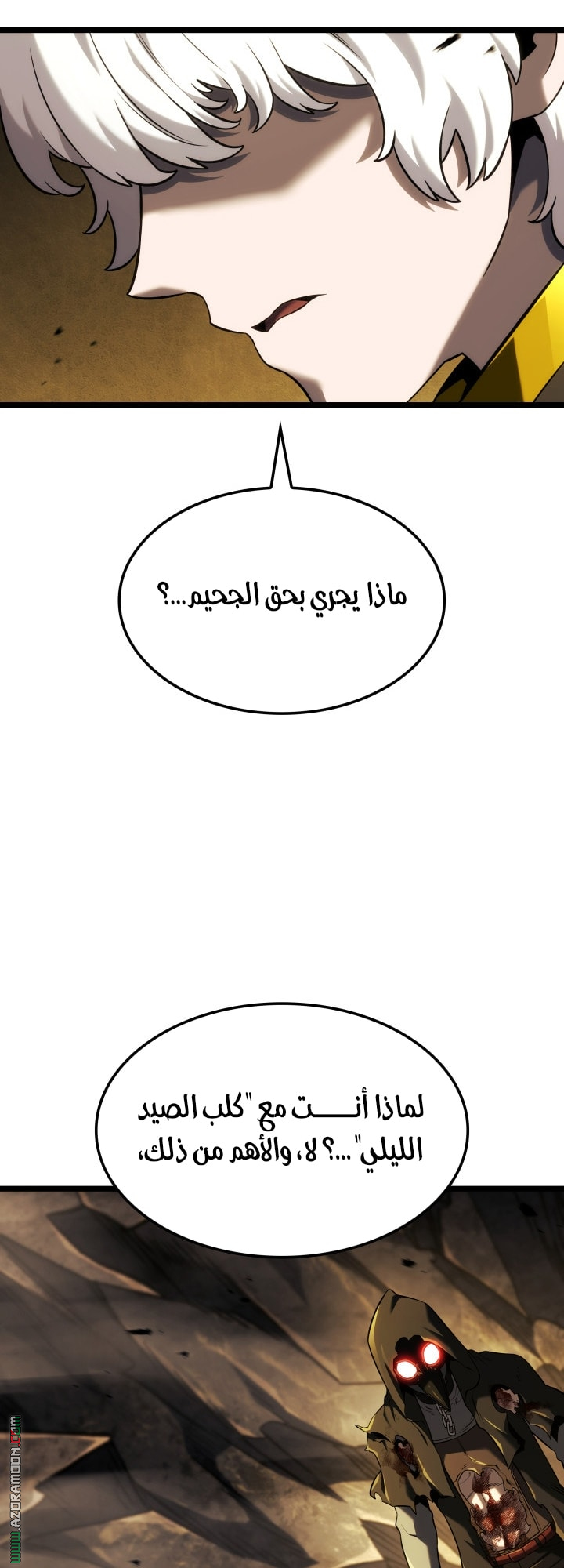 الصفحة 13