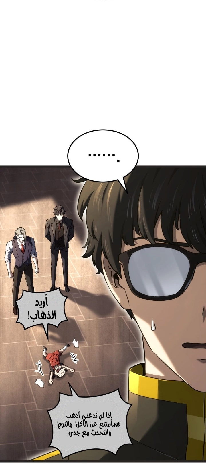 الصفحة 13