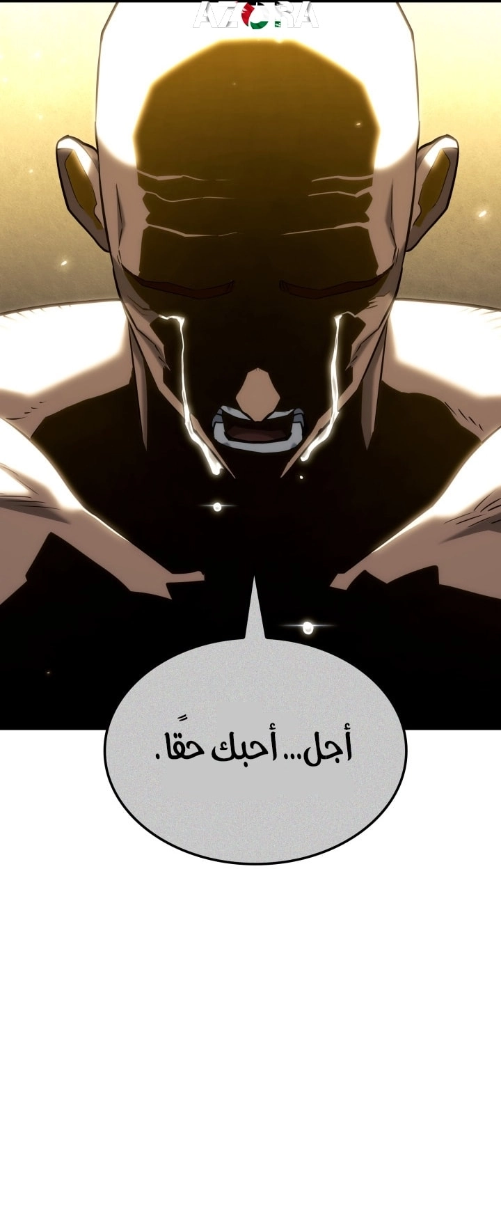الصفحة 31