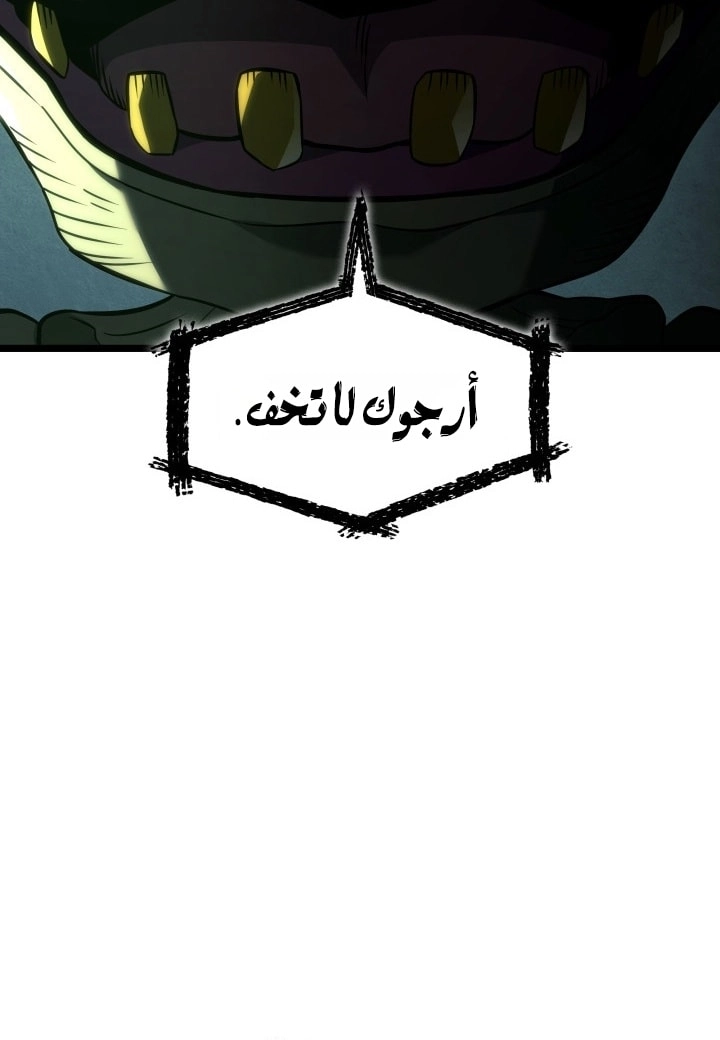 الصفحة 43