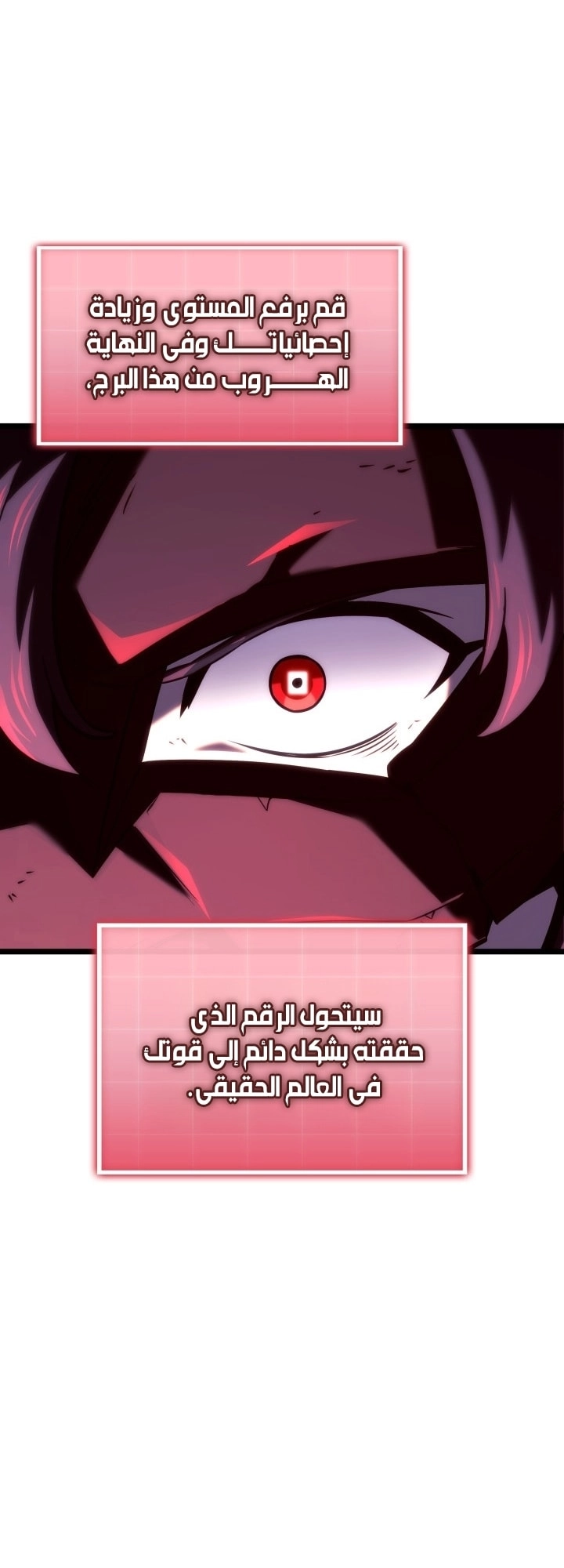 الصفحة 49