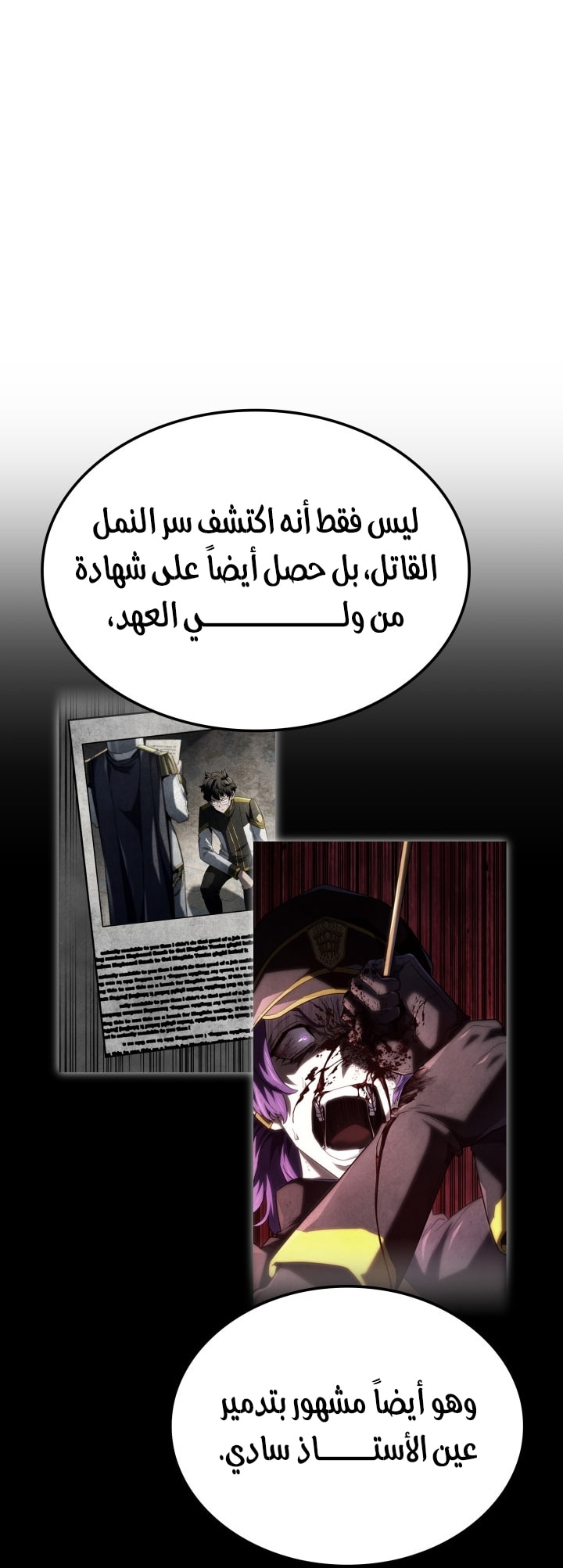 الصفحة 5