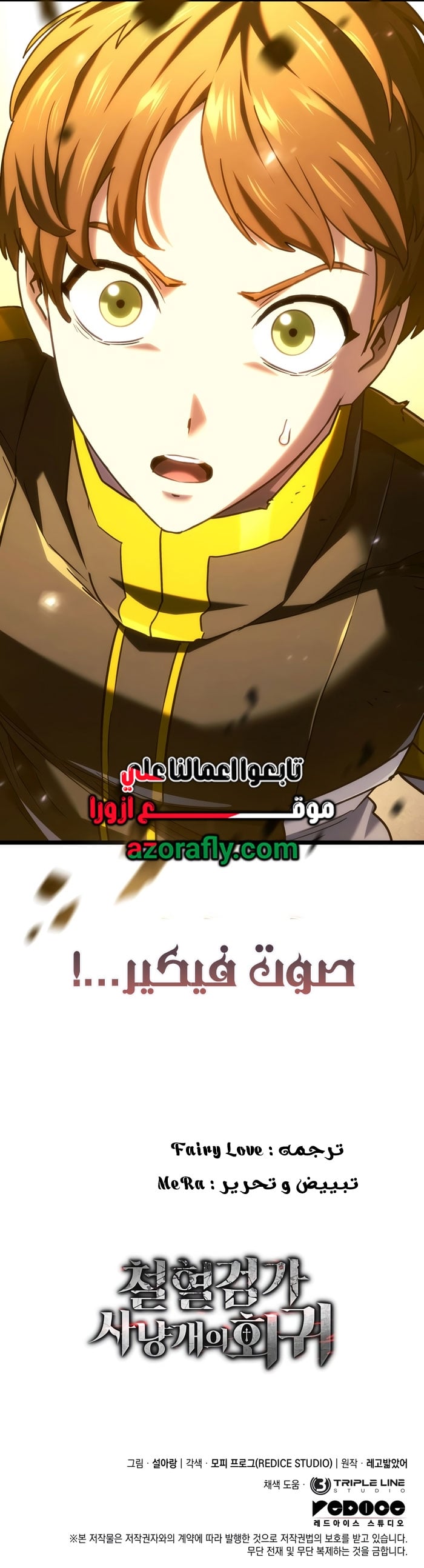 الصفحة 17