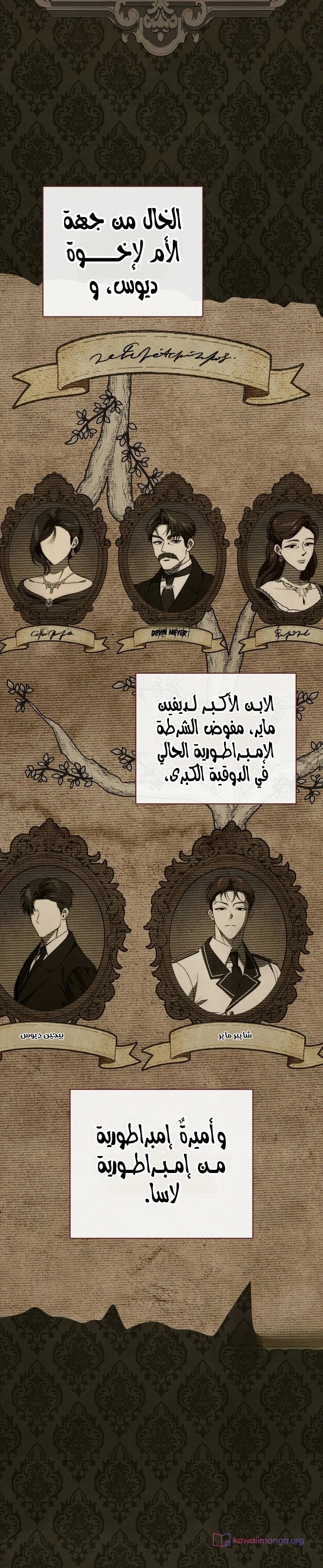 الصفحة 17