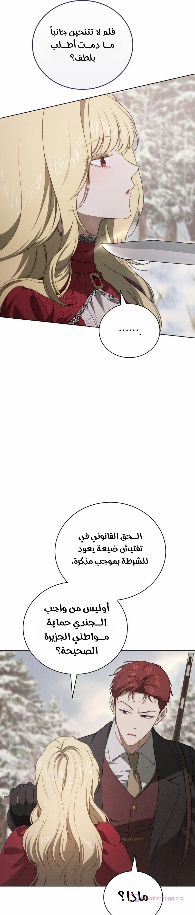 الصفحة 29