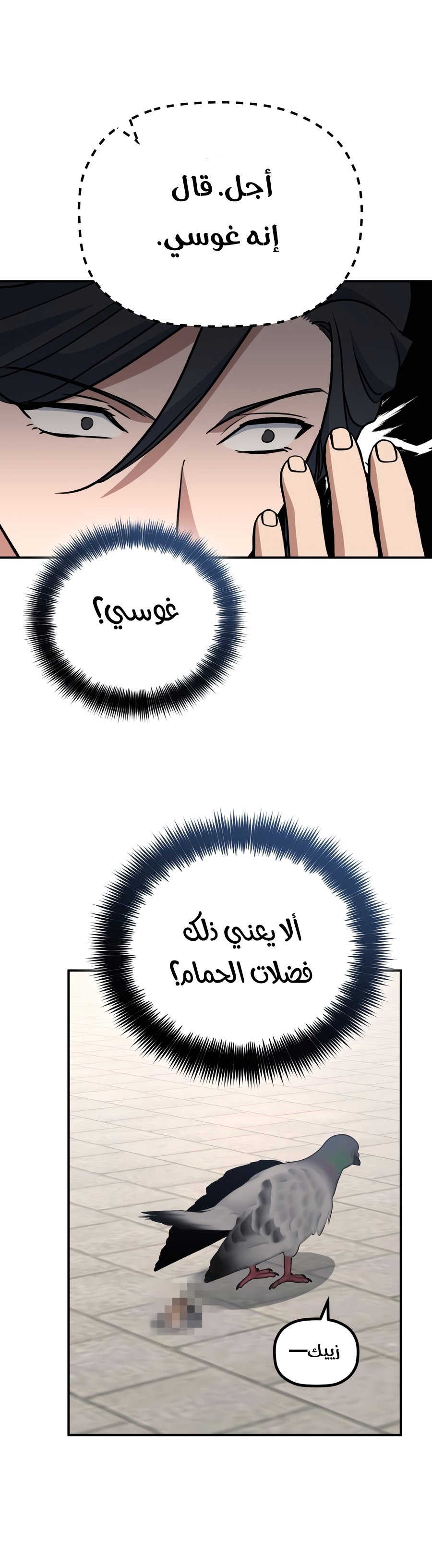 الصفحة 15