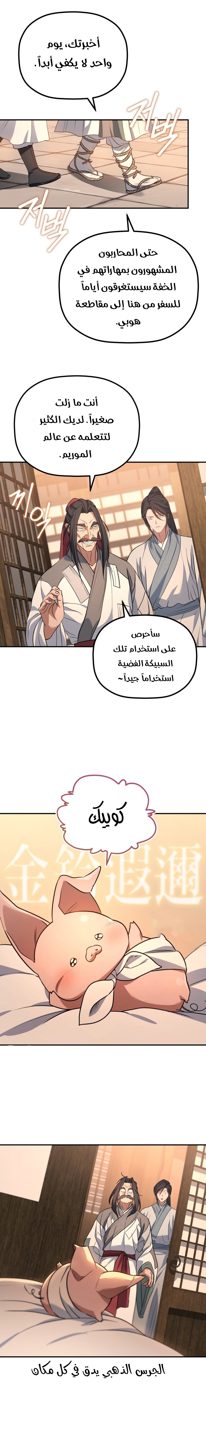 الصفحة 11