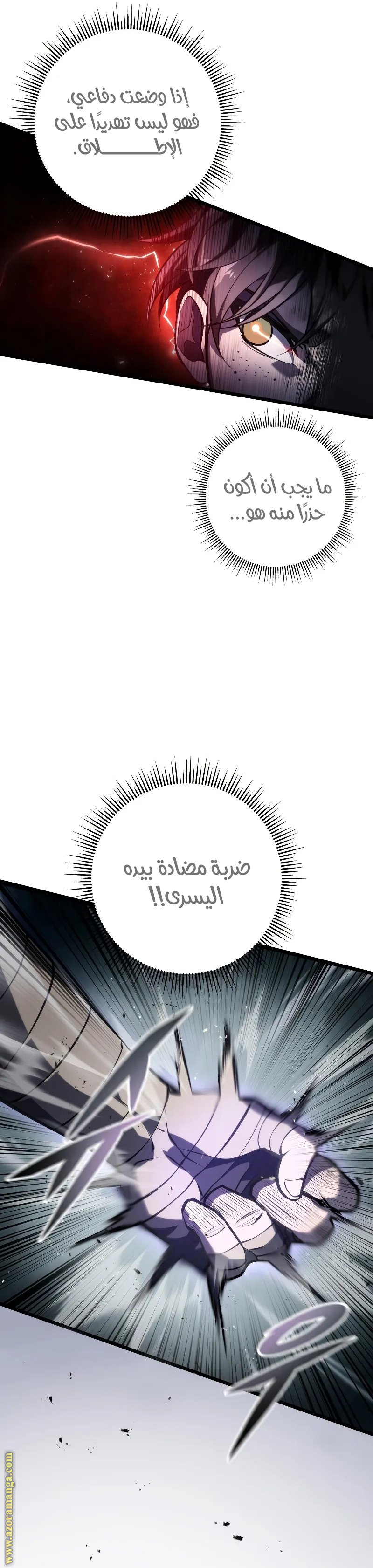 الصفحة 25