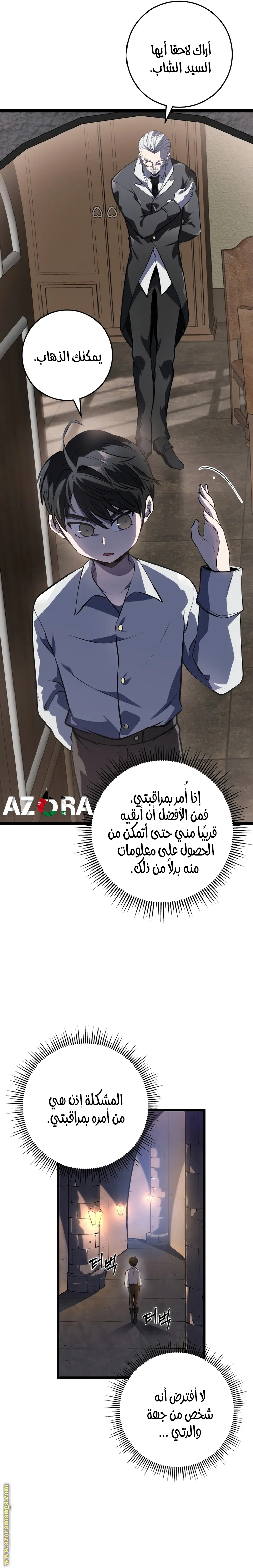 الصفحة 13