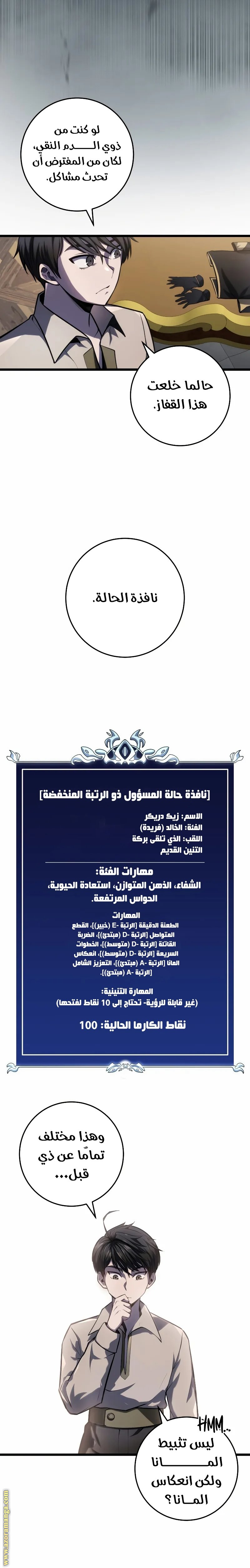 الصفحة 17
