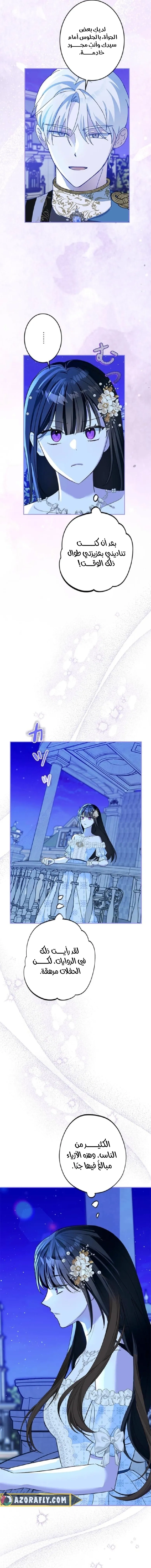 الصفحة 17