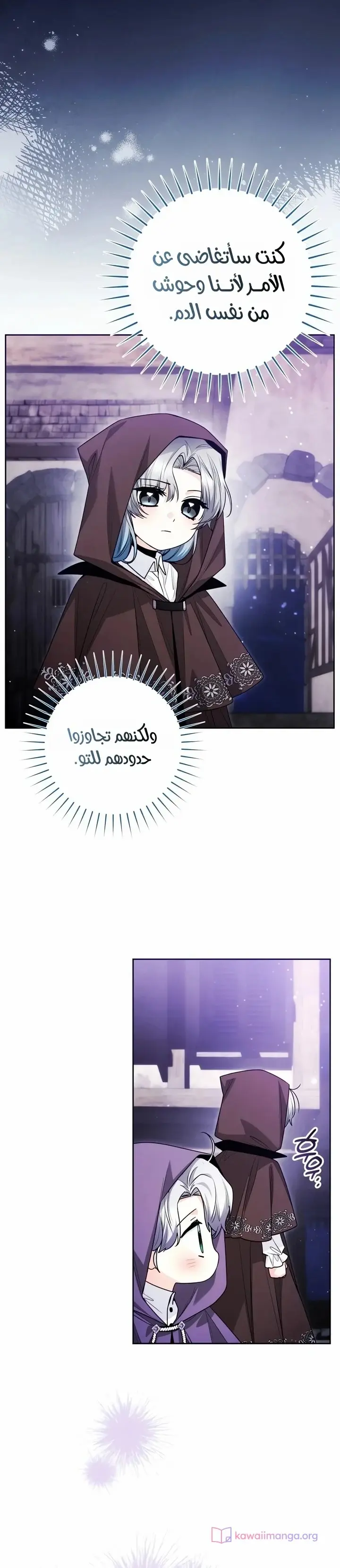 الصفحة 12