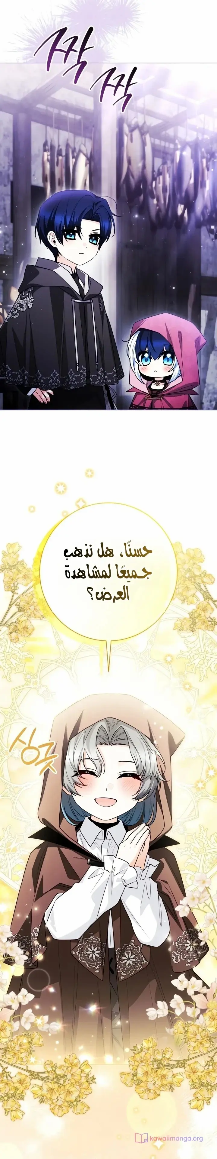 الصفحة 13