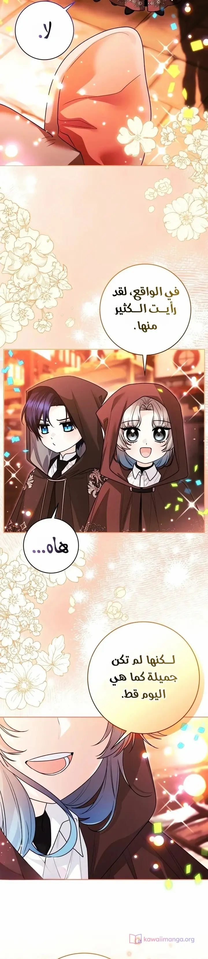 الصفحة 17