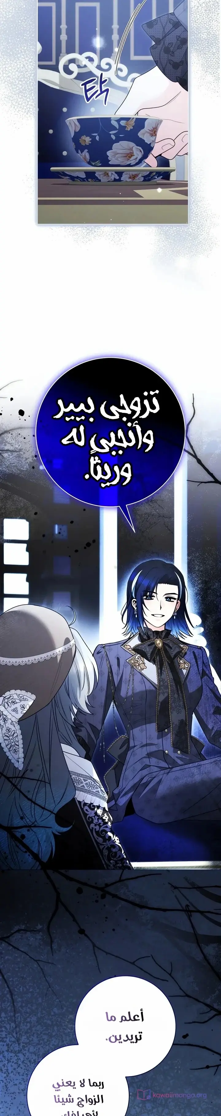 الصفحة 25