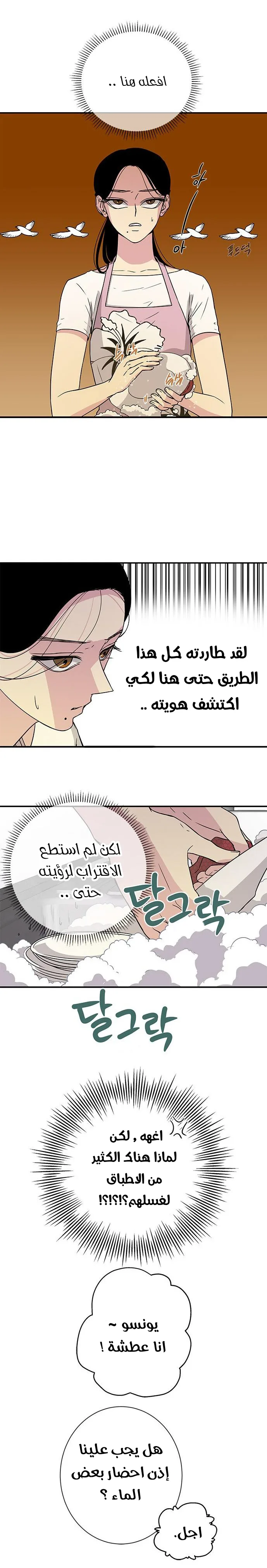 الصفحة 13