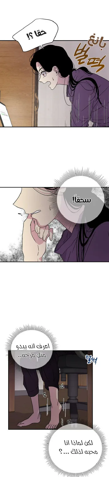 الصفحة 17