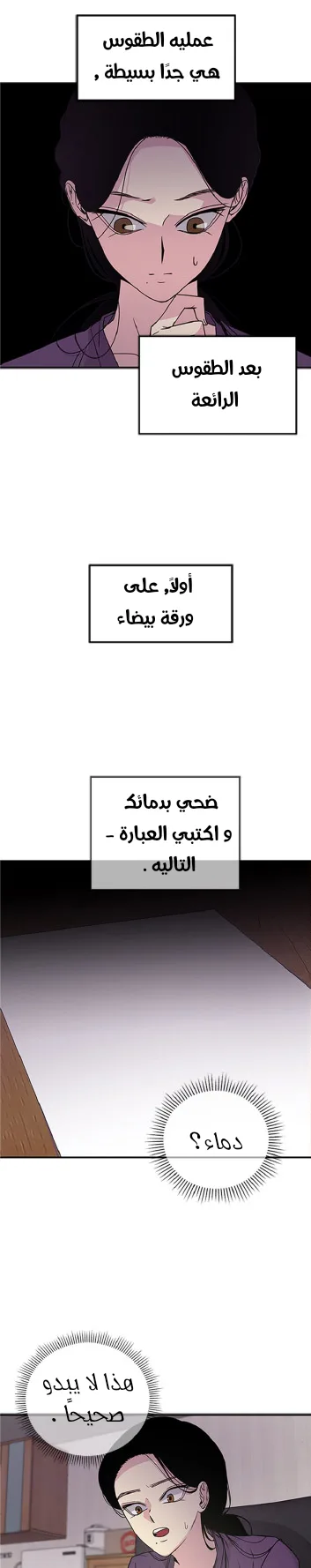 الصفحة 13
